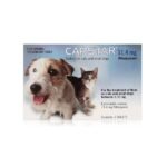 Capstar Flea Treatment Tablets - lets