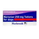 Noroclav Tablets