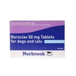 Noroclav Dual Tablets