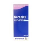 Noroclav Dual Tablets