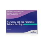 Noroclav Tablets