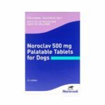 Noroclav Tablets