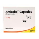 Antirobe Capsules