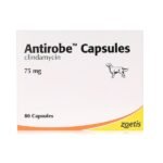 Antirobe Capsules