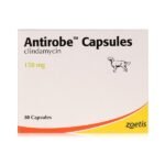 Antirobe Capsules