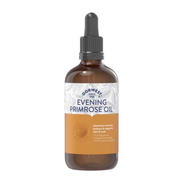 Evening Primrose Oil Liquid 100ml