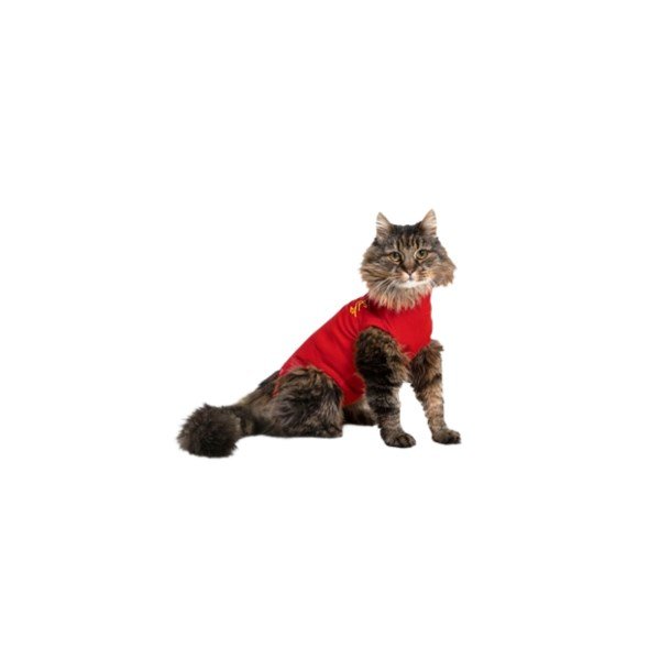 Medical Pet Shirt for Cats - XXX-Small