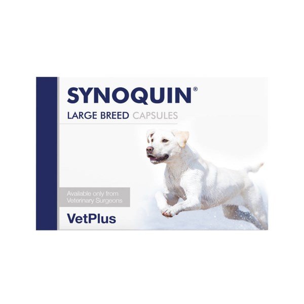 Synoquin Capsules for Dogs Large Breed x 120