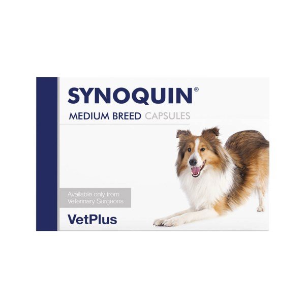 Synoquin Capsules for Dogs Medium Breed x 120