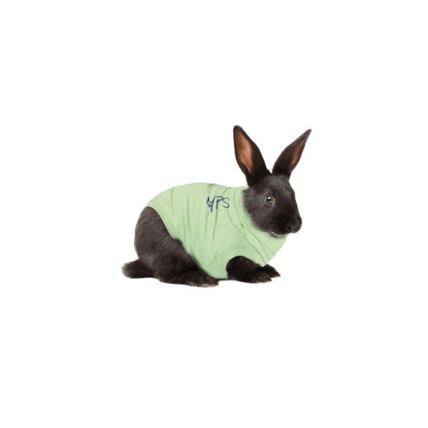 Medical Pet Shirts for Rabbits Green - X Small