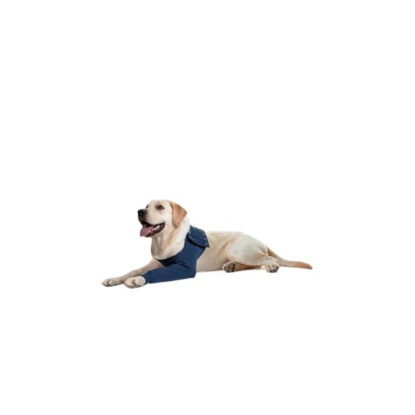 Front Leg Protective Dog Sleeve - Large