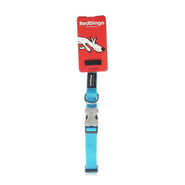 Red Dingo Classic Collar - Turquoise - Small