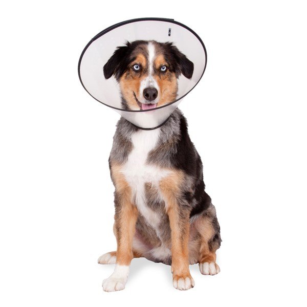 VetOne Safety Collar - 40cm