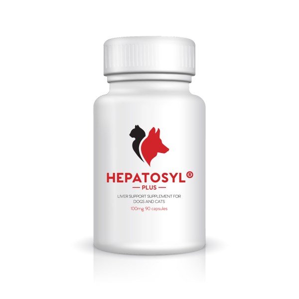 Hepatosyl Plus Capsules 100mg x 90