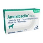 Amoxibactin Tablets for Dogs