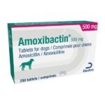 Amoxibactin Tablets for Dogs