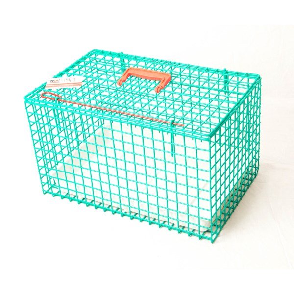 Green Wire Cat Basket + Tray