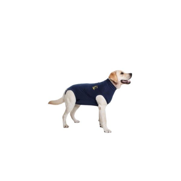 Medical Pet Shirt for Dogs - Medium+