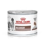 Royal Canin Veterinary Health Nutrition Canine/Feline Recovery Mousse x 12