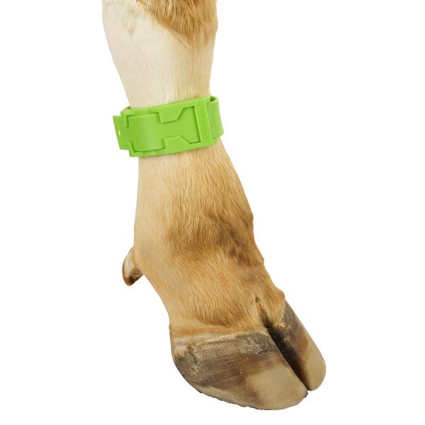 Fetlock Strap Green 37cm x 10