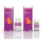 Rheumocam Oral Suspension for Cats
