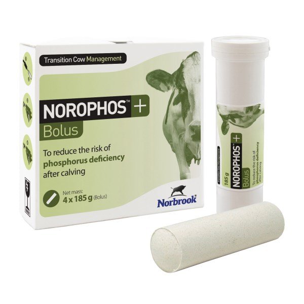 Norophos+ Bolus 185g x 4