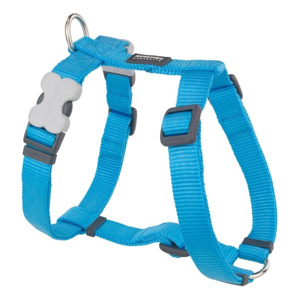 Red Dingo Classic Harness - Turquiose - Extra Small