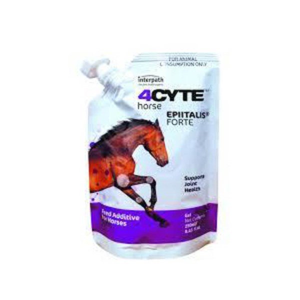 4CYTE Epiitalis Forte Horse 1l