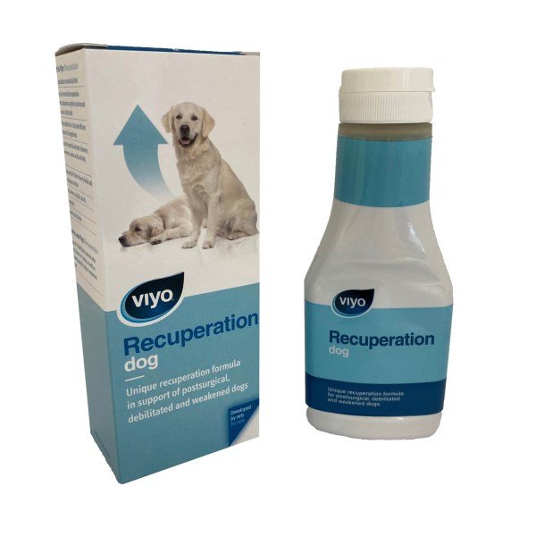 Viyo Recuperation Dog 150ml