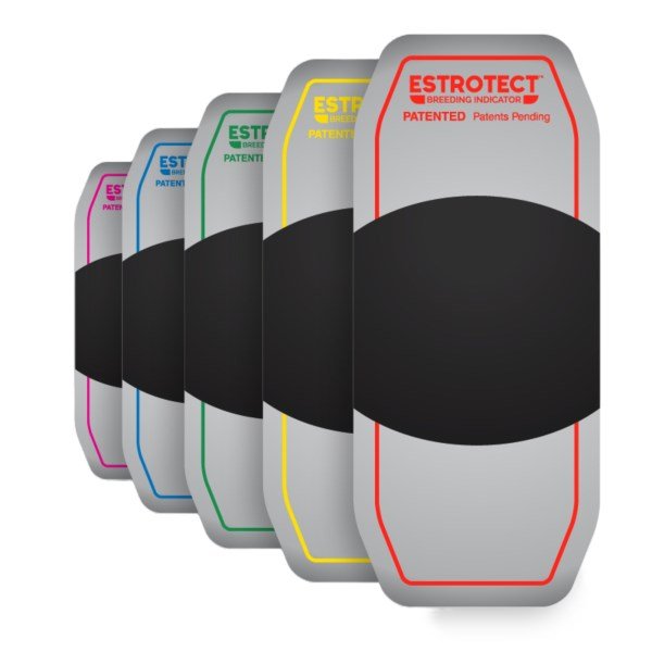 Estrotect Heat Detector Yellow Patches x 50