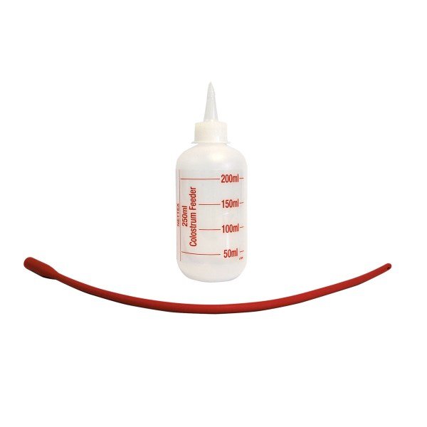 Colostrum Feeder (Includes Bottle & Orange Latex Tube) Each