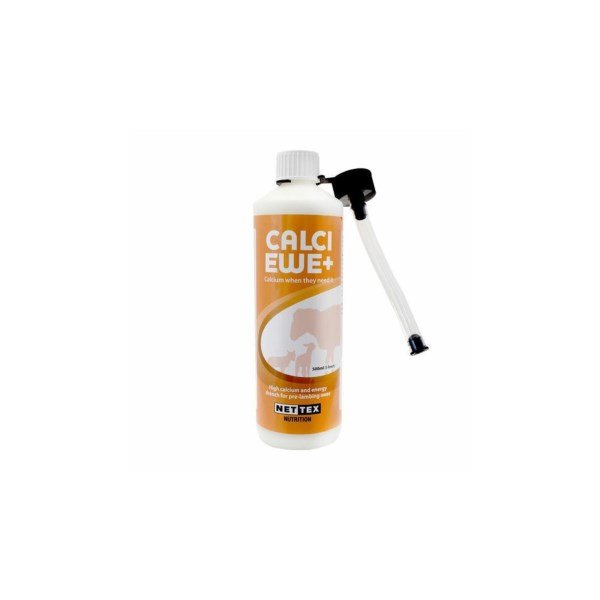 Calci Ewe+ 500ml x 6