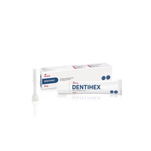 Dentihex/Dentisept Adhesive Dental Paste 20g