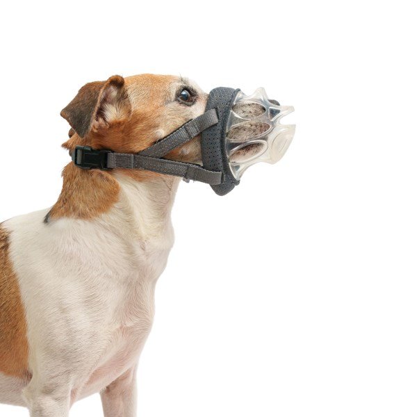 Baskerville INVISA Muzzle Size 1