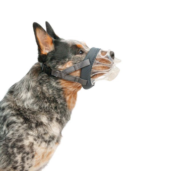 Baskerville INVISA Muzzle Size 3