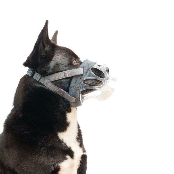 Baskerville INVISA Muzzle Size 5