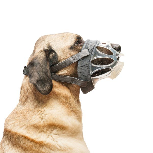 Baskerville INVISA Muzzle Size 6