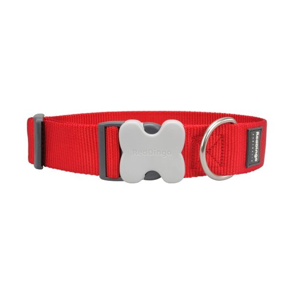 Red Dingo Dog Collar Classic Red Small