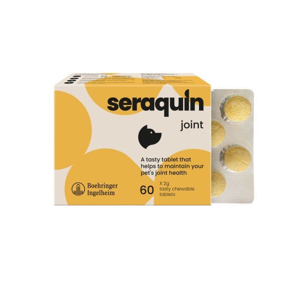 Seraquin Joint 2g Tablets X 60
