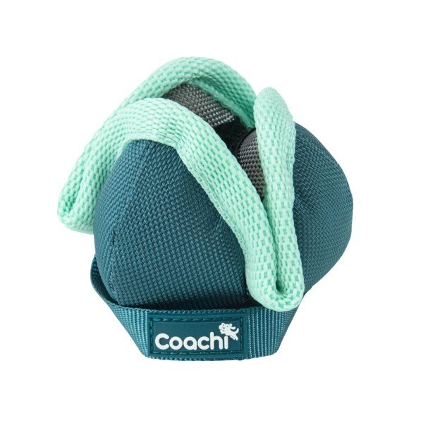 Coachi Puppy & Mini Chase & Treat Teal & Mint