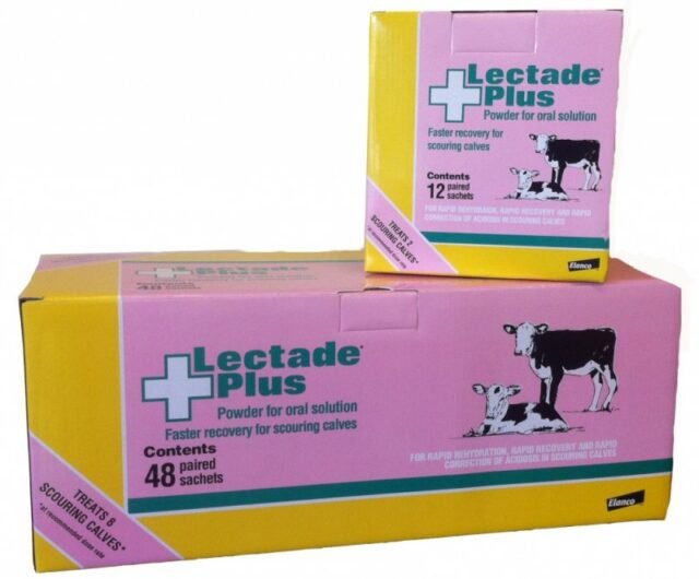 Lectade Plus 48 Pack