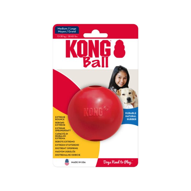 KONG Ball - Medium/Large