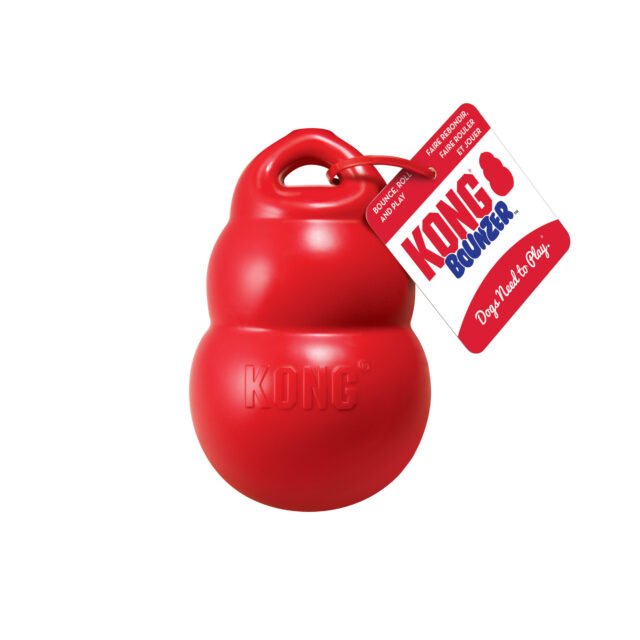 KONG Bounzer - Medium