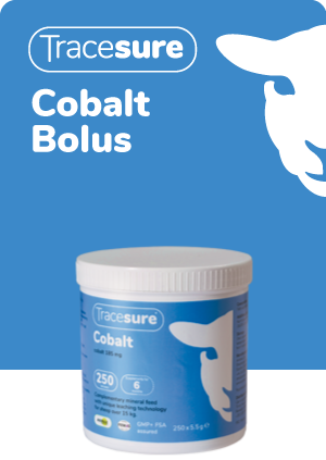 Tracesure Cobalt X 250