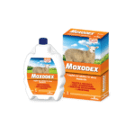 Moxodex Oral Solution