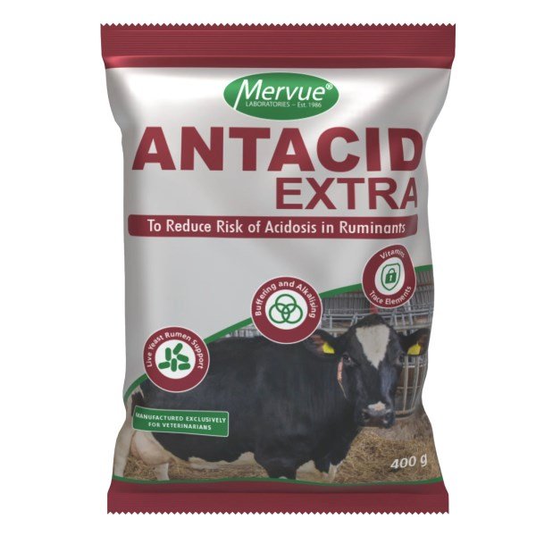Antacid Extra 400g 12 pack