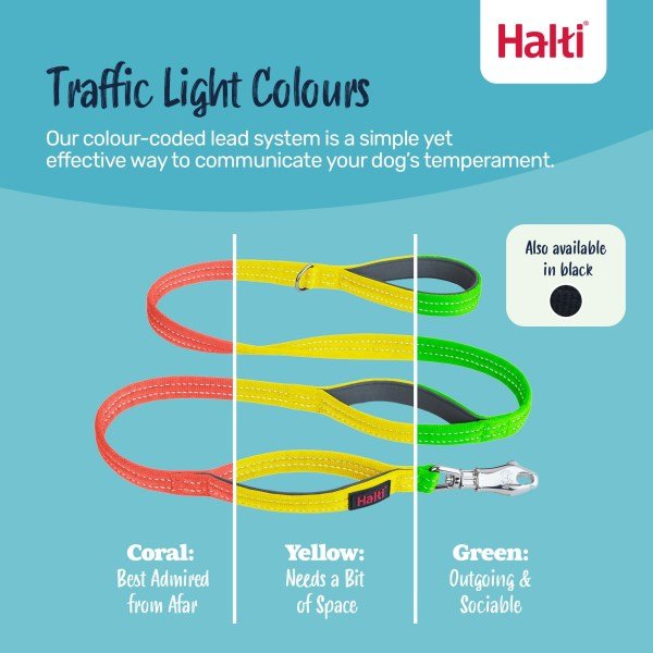 Halti BRIG Safety Lead Neon Yellow Large