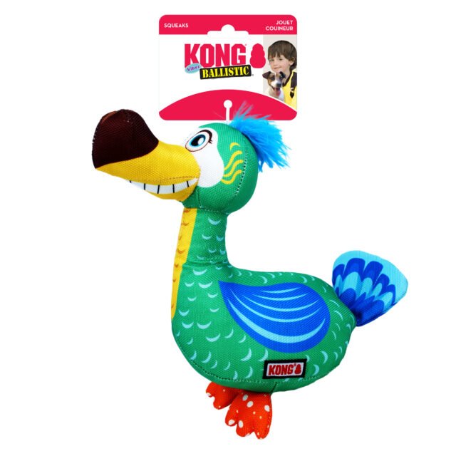 KONG Ballistic Vibez Birds (Assorted Characters)